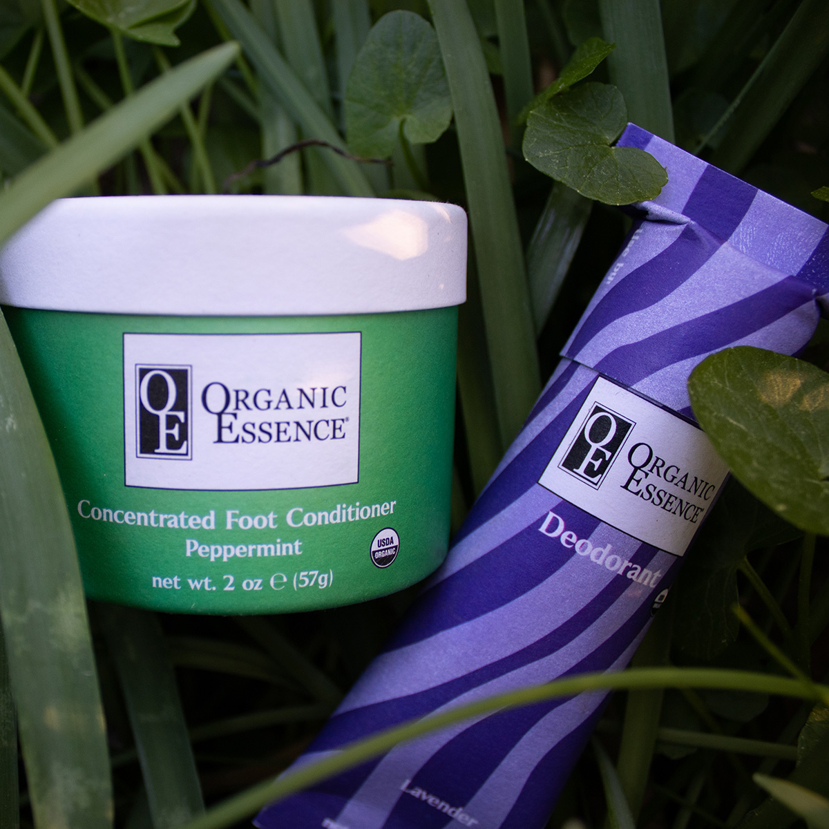 Organic Essence certified organic skincare products in natural botanical setting